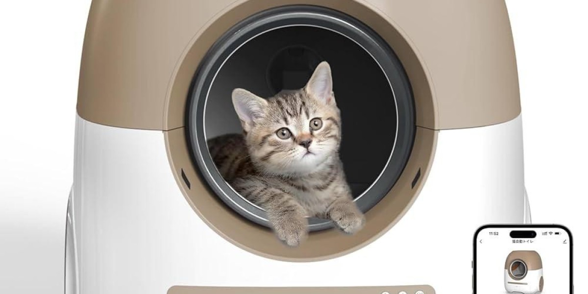 Could Pawtechpet Cat Litter Box Automatic Cleaning Simplify Your Routine